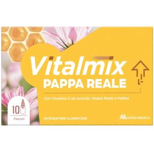 VITALMIX- Pappa Reale